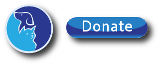 Donate Securely Online