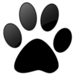 paw